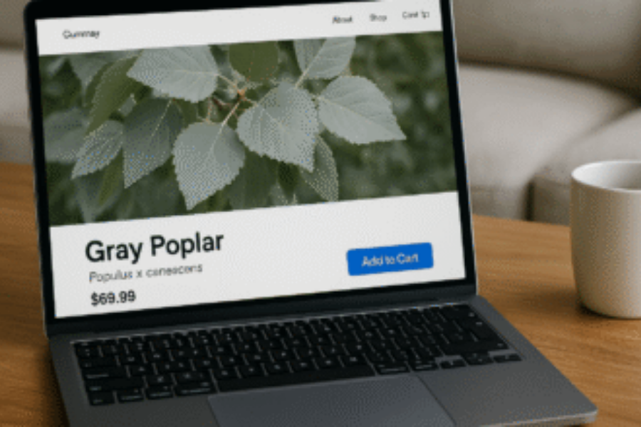 gray poplar online retail